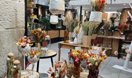 Découvrez la nouvelle collection de fleurs séchées au Puy-en-Velay