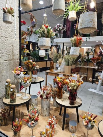 Découvrez la nouvelle collection de fleurs séchées au Puy-en-Velay